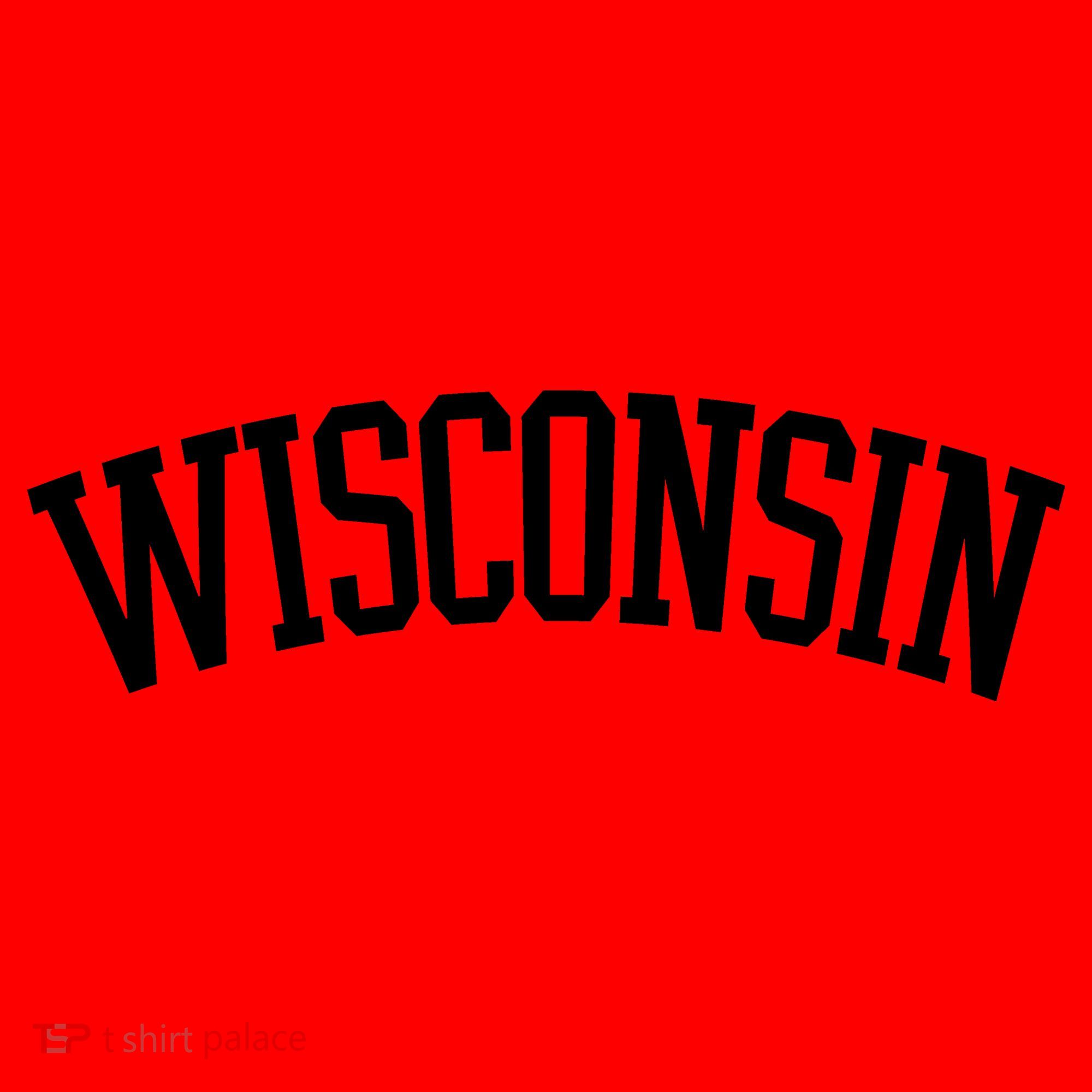 Wisconsin College Sports Fan Logo Santa Hat