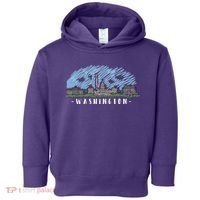 Washington Cartoon Style Illustration Toddler Hoodie thumb 0
