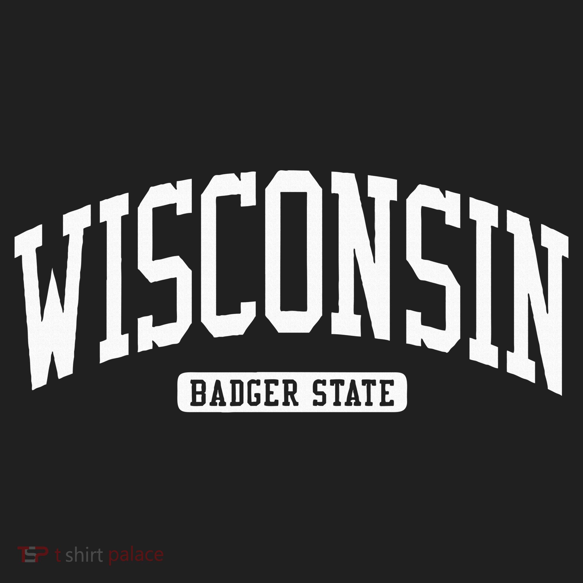 Wisconsin College University Style Women's Sweatshirt