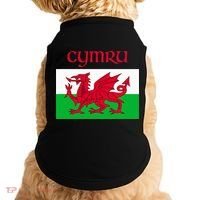 Wales Cymru Welsh Flag Doggie Tank thumb 0