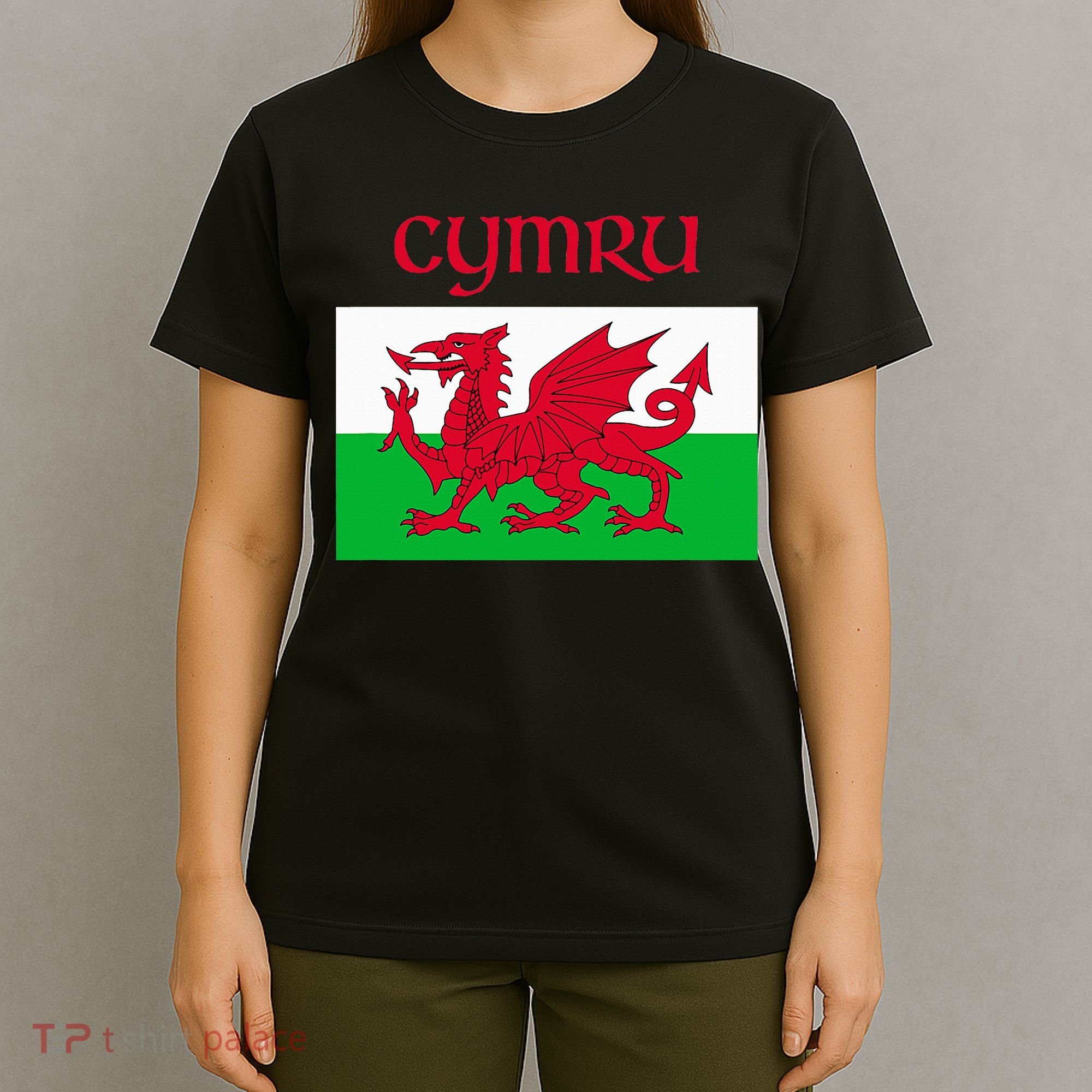 Wales Cymru Welsh Flag T-Shirt