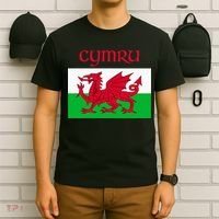 Wales Cymru Welsh Flag T-Shirt thumb 6