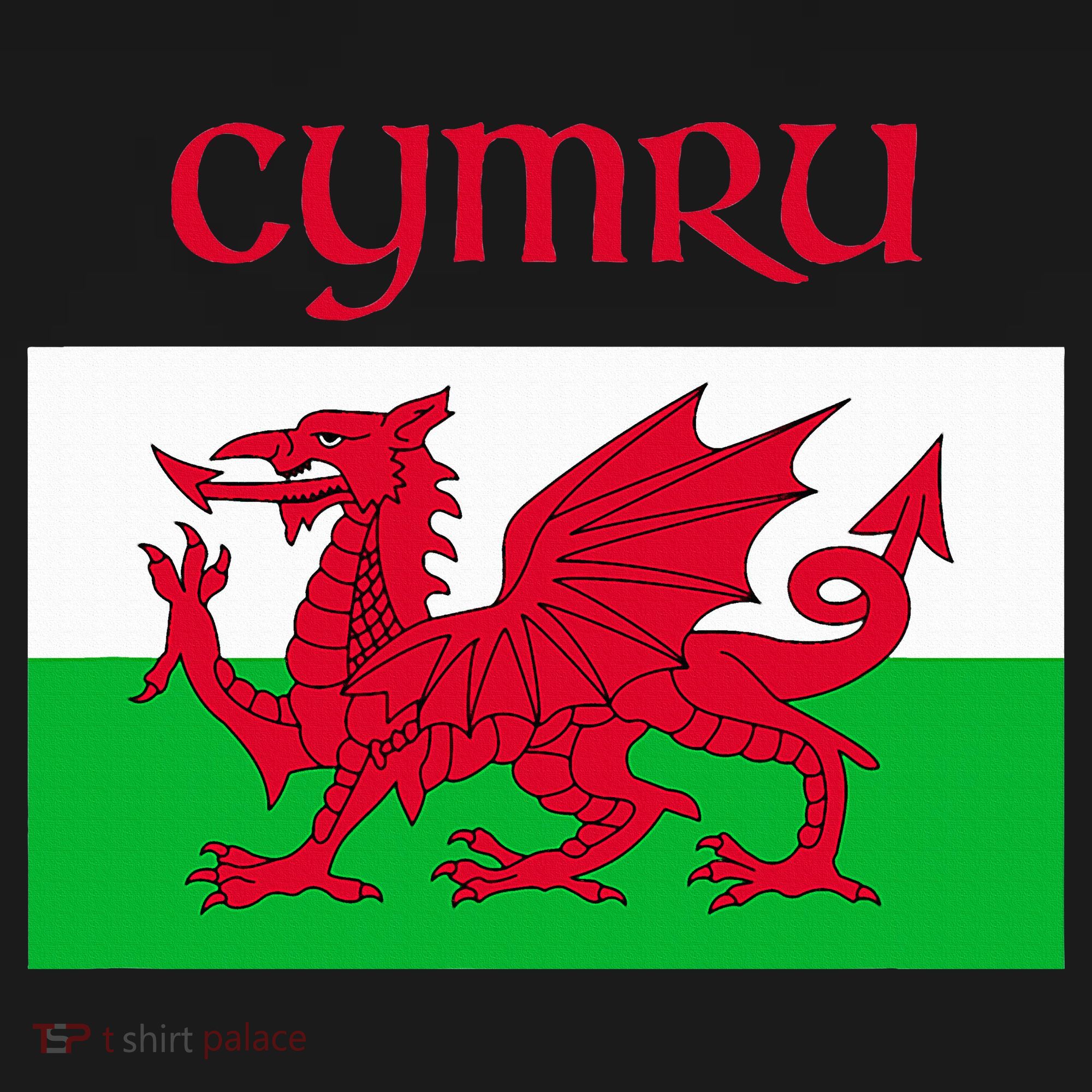 Wales Cymru Welsh Flag Backpack