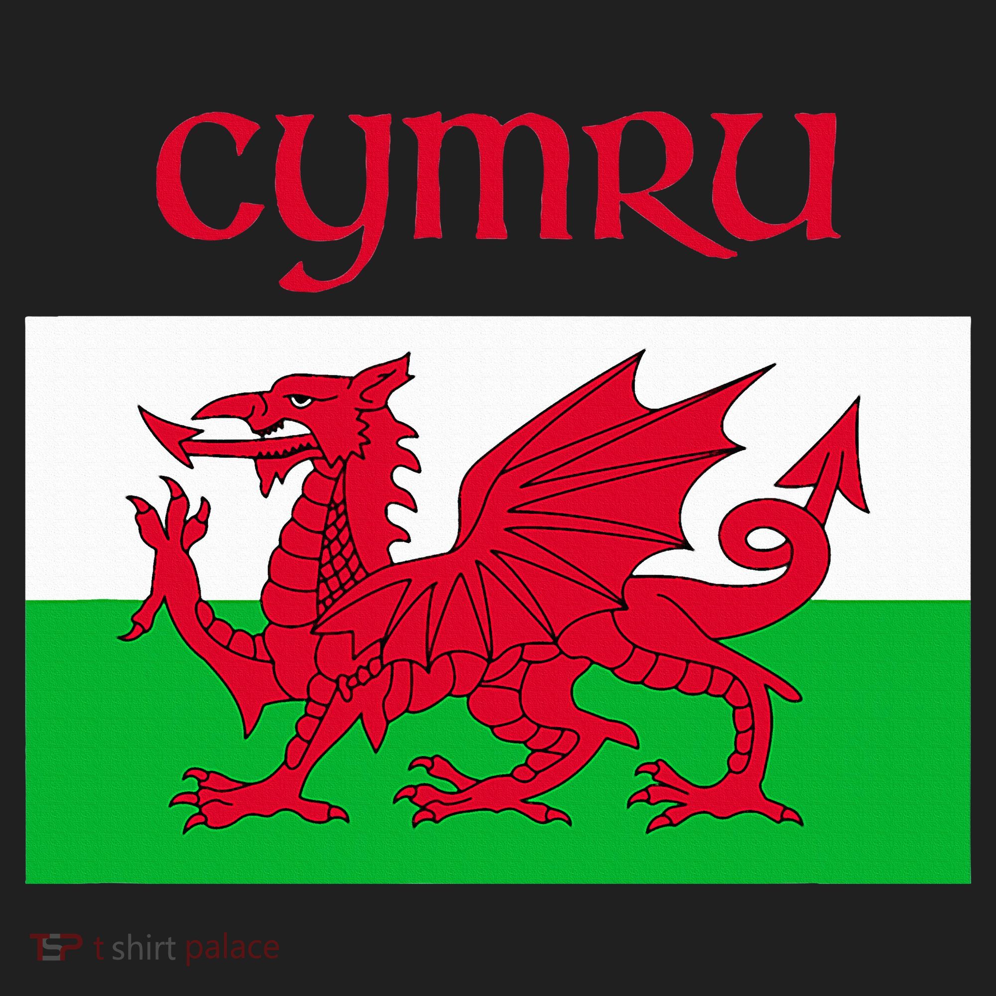 Wales Cymru Welsh Flag Tumbler