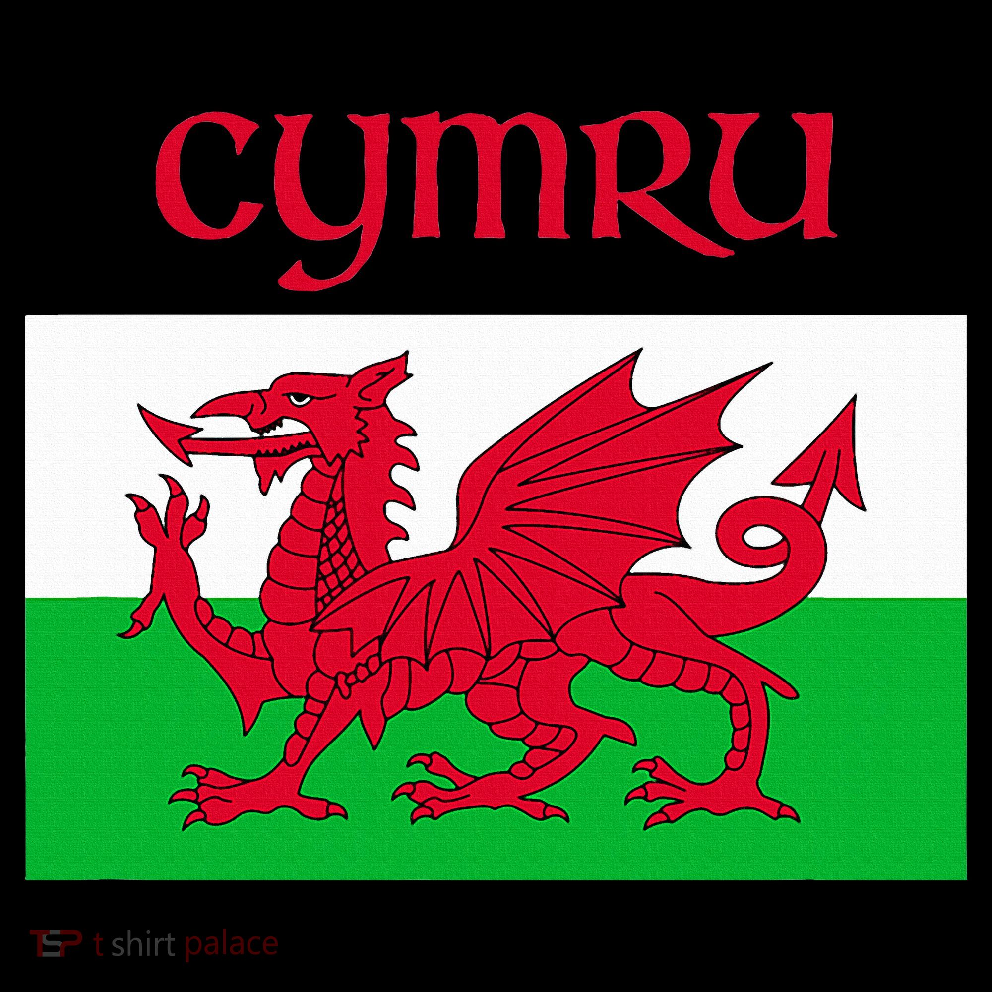 Wales Cymru Welsh Flag Women's Tank Top