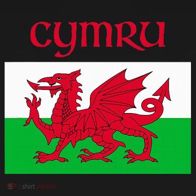 Wales Cymru Welsh Flag Toddler Hoodie