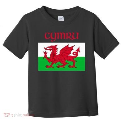 Wales Cymru Welsh Flag Toddler T-Shirt