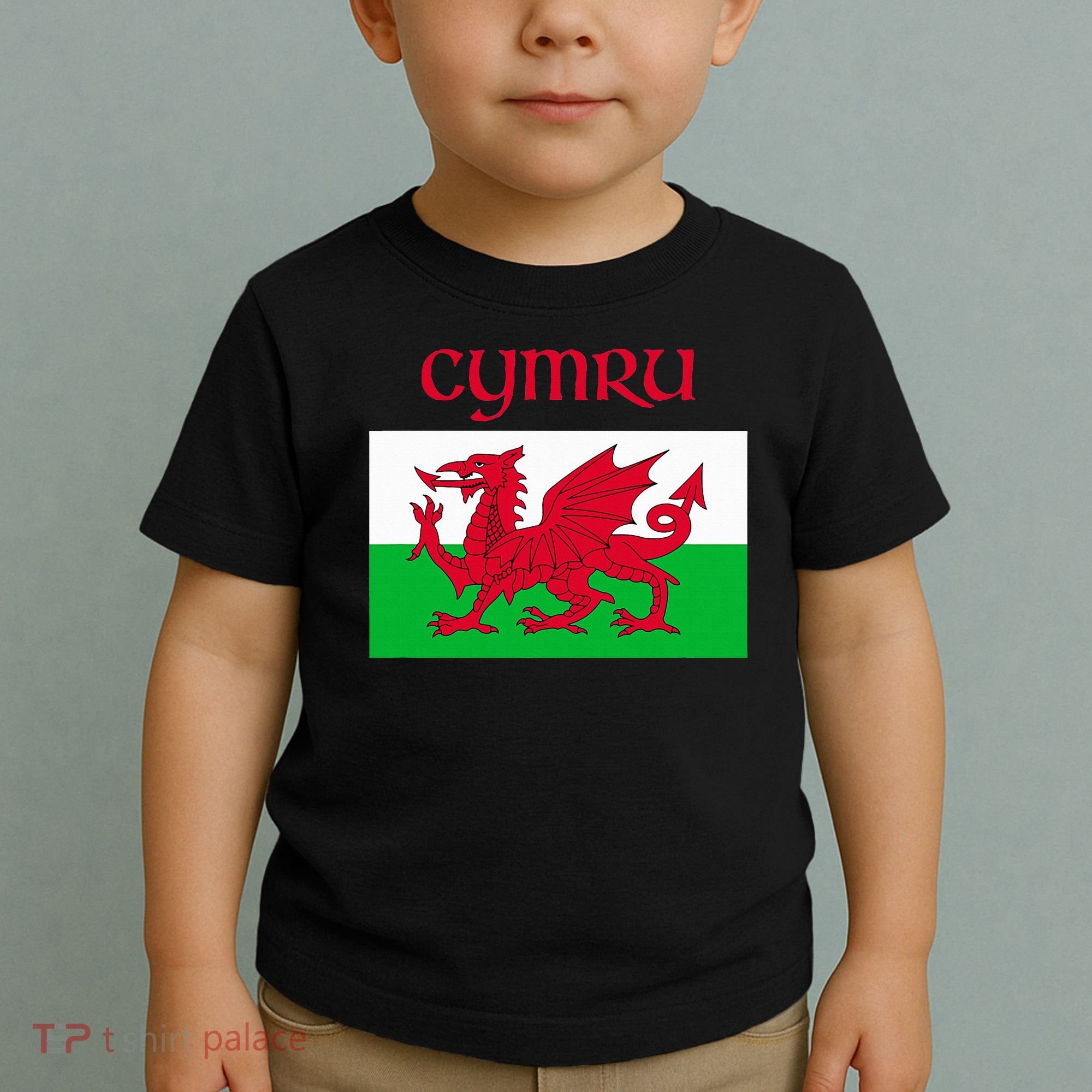 Wales Cymru Welsh Flag Toddler T-Shirt