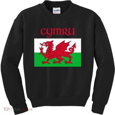 Wales Cymru Welsh Flag Kids Sweatshirt