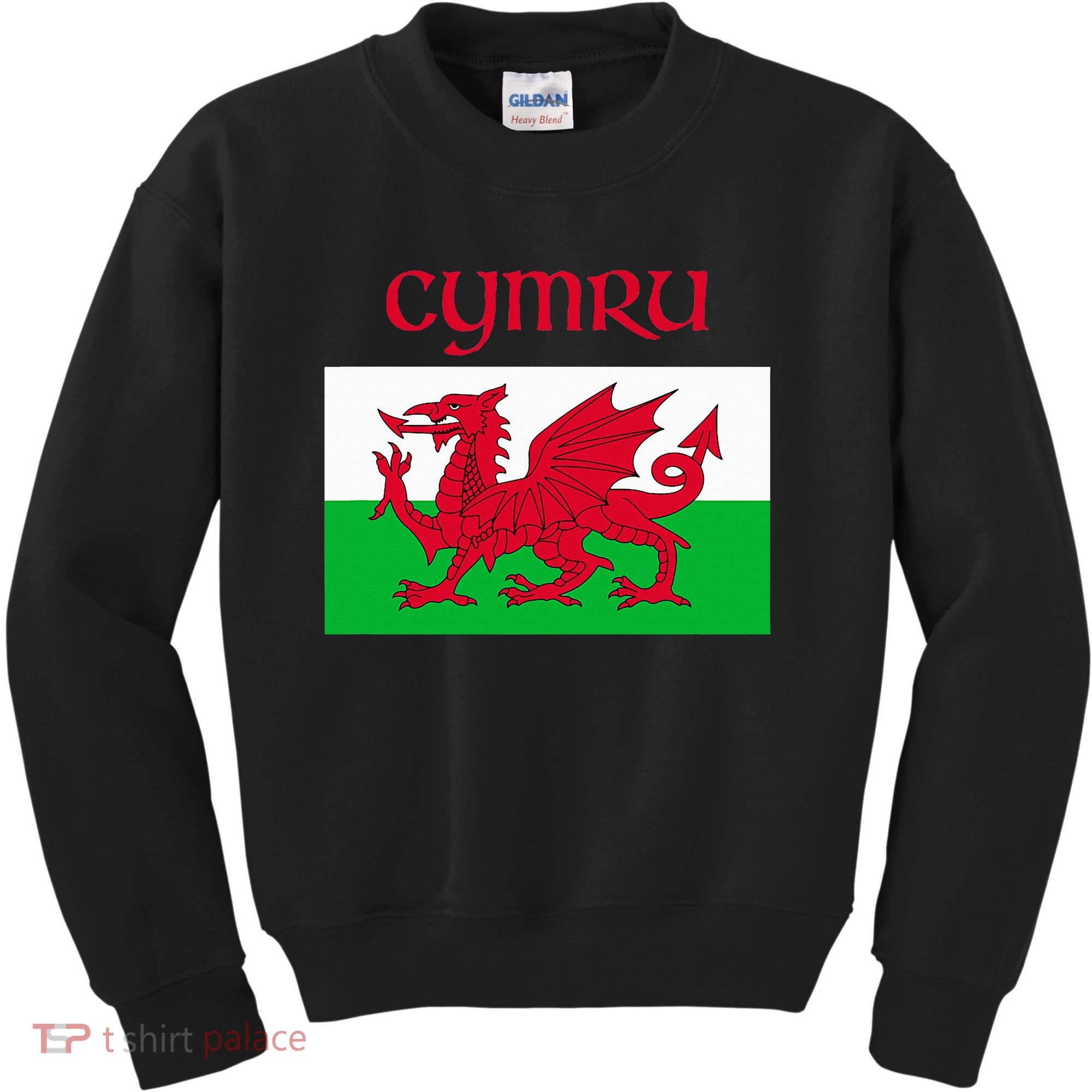 Wales Cymru Welsh Flag Kids Sweatshirt