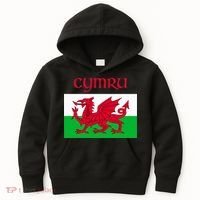 Wales Cymru Welsh Flag Kids Hoodie thumb 0