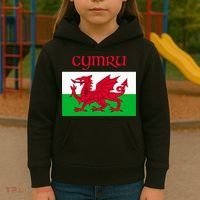 Wales Cymru Welsh Flag Kids Hoodie thumb 3