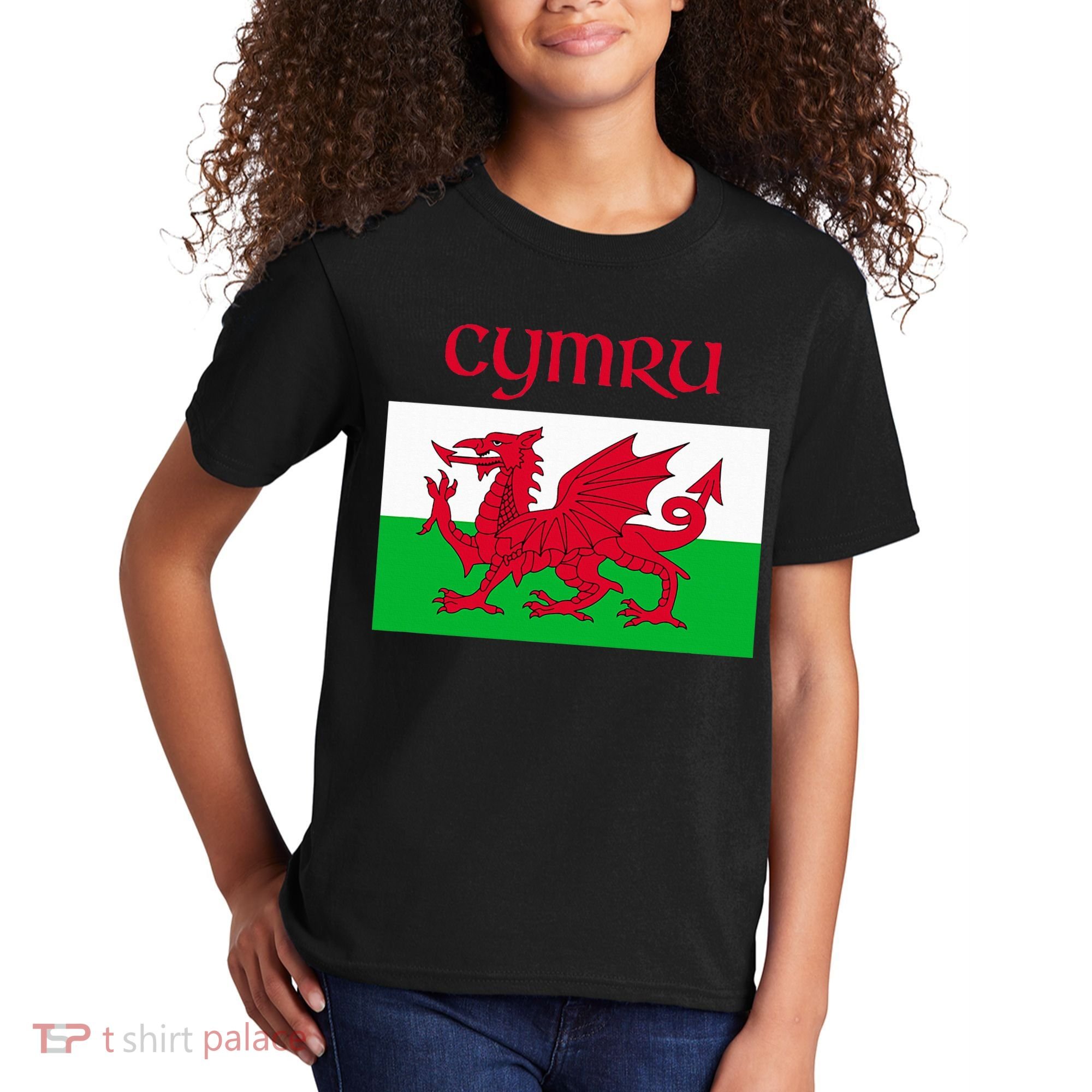 Wales Cymru Welsh Flag Kids T-Shirt