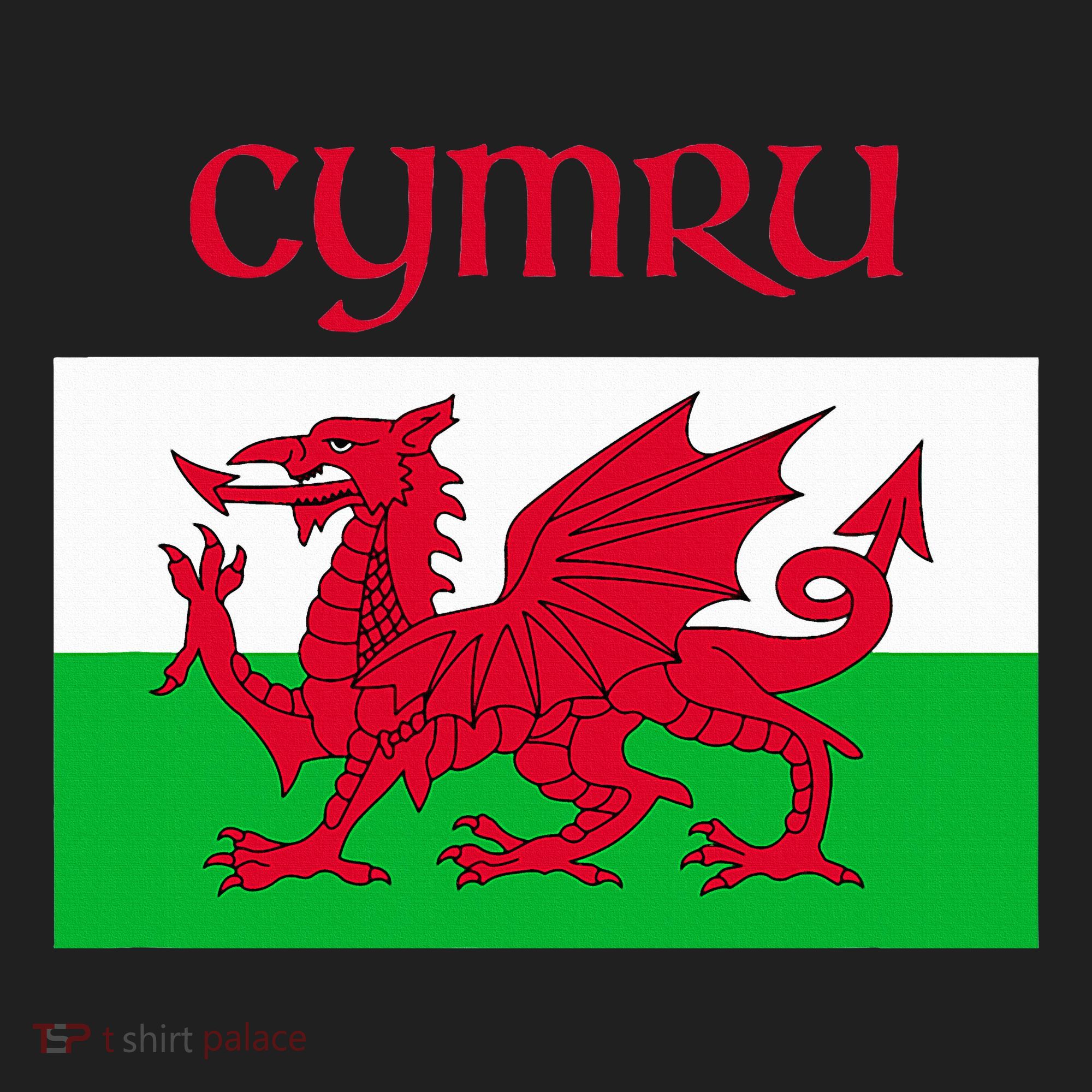 Wales Cymru Welsh Flag Women's Sweatshirt