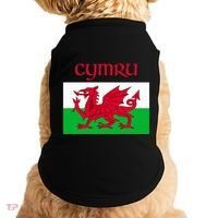 Wales Cymru Welsh Flag Doggie Tank thumb 0