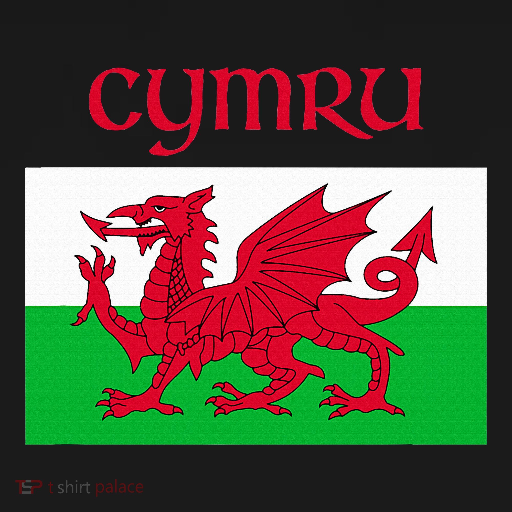 Wales Cymru Welsh Flag Apron