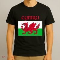 Wales Cymru Welsh Flag T-Shirt thumb 3