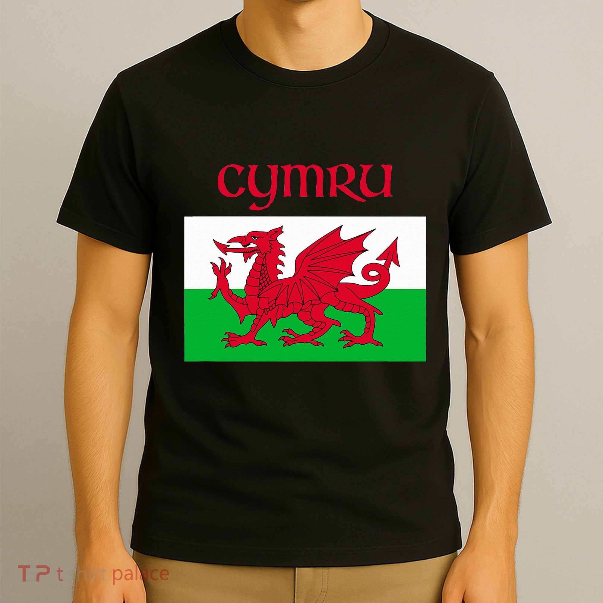 Wales Cymru Welsh Flag T-Shirt