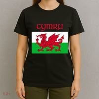 Wales Cymru Welsh Flag T-Shirt thumb 4