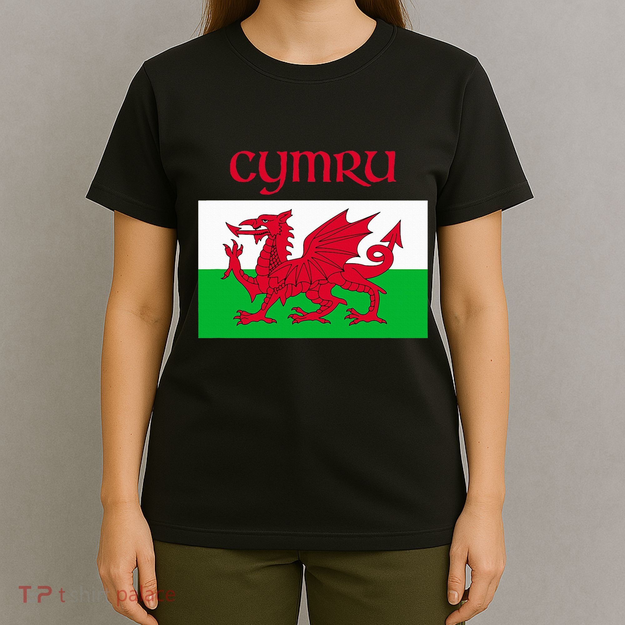 Wales Cymru Welsh Flag T-Shirt