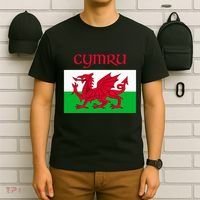 Wales Cymru Welsh Flag T-Shirt thumb 6