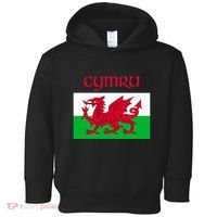 Wales Cymru Welsh Flag Toddler Hoodie thumb 0