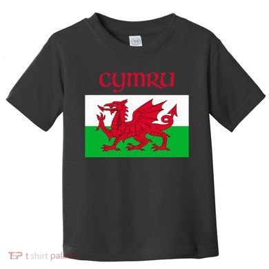 Wales Cymru Welsh Flag Toddler T-Shirt