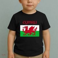 Wales Cymru Welsh Flag Toddler T-Shirt thumb 2
