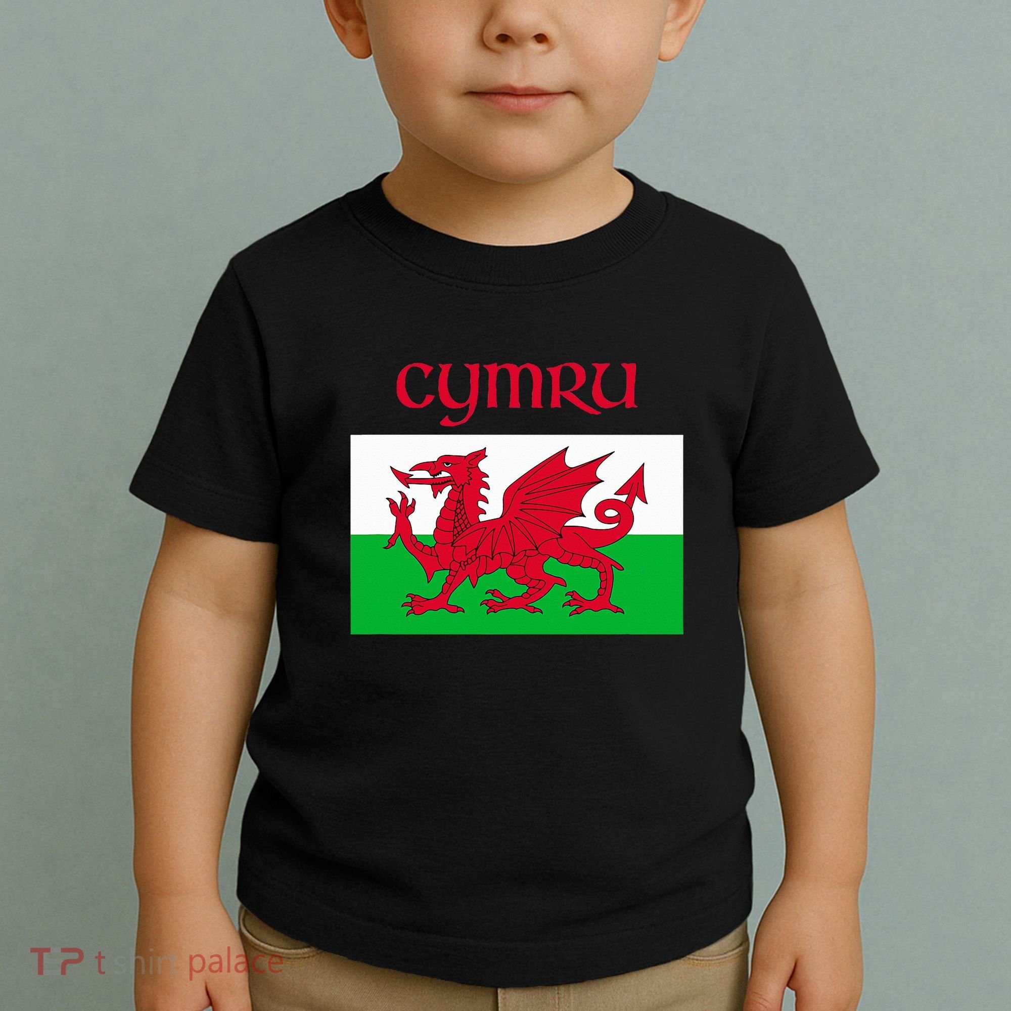 Wales Cymru Welsh Flag Toddler T-Shirt