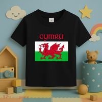 Wales Cymru Welsh Flag Toddler T-Shirt thumb 3