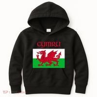 Wales Cymru Welsh Flag Kids Hoodie thumb 0