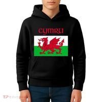 Wales Cymru Welsh Flag Kids Hoodie thumb 4