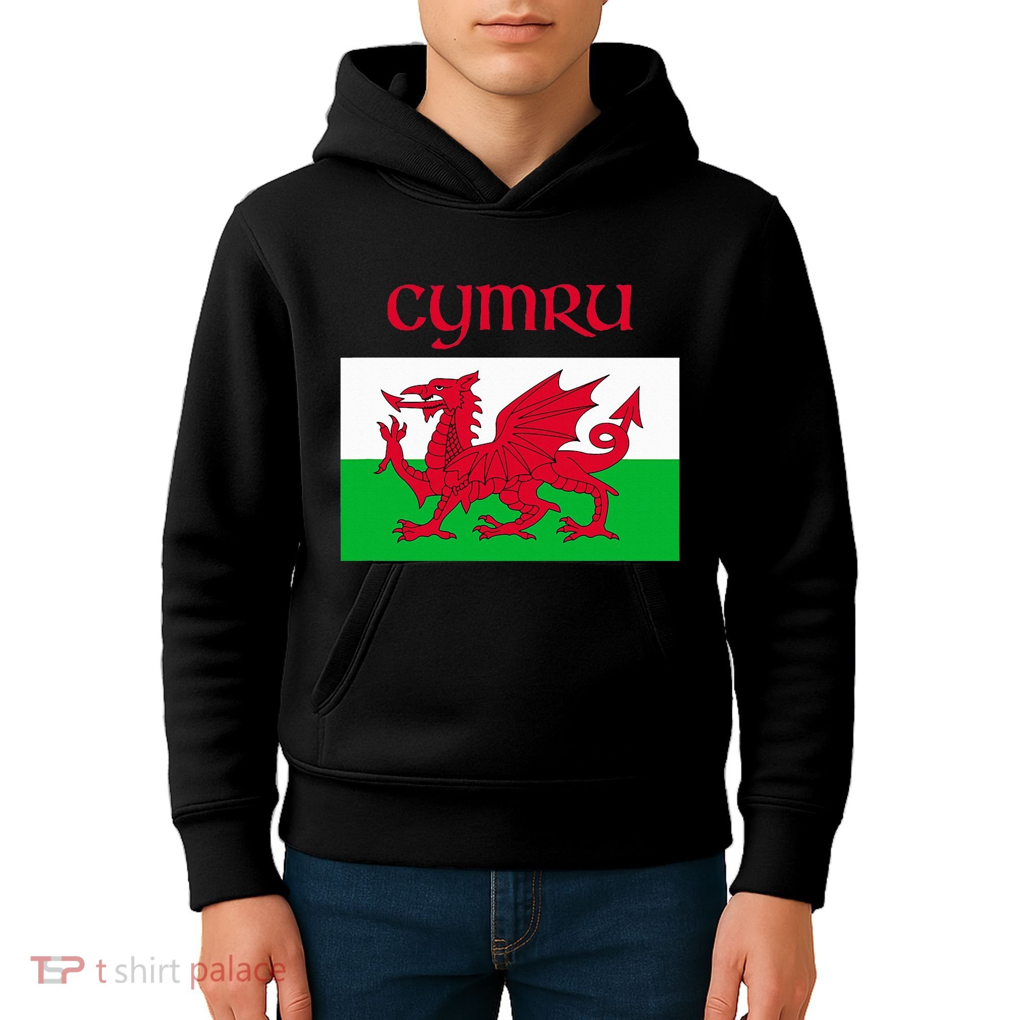 Wales Cymru Welsh Flag Kids Hoodie