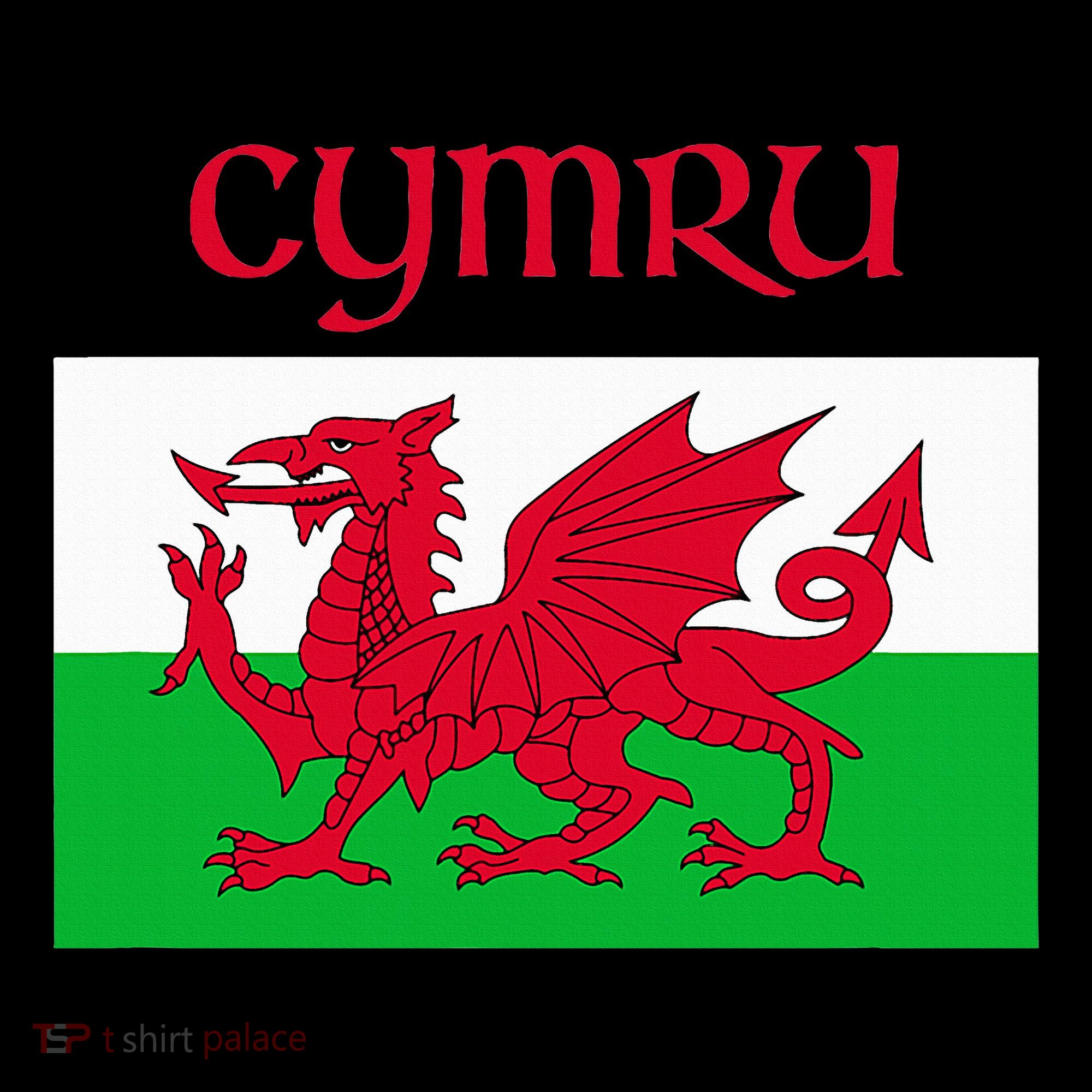 Wales Cymru Welsh Flag Kids Long Sleeve Shirt