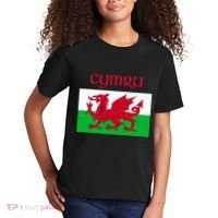 Wales Cymru Welsh Flag Kids T-Shirt thumb 2