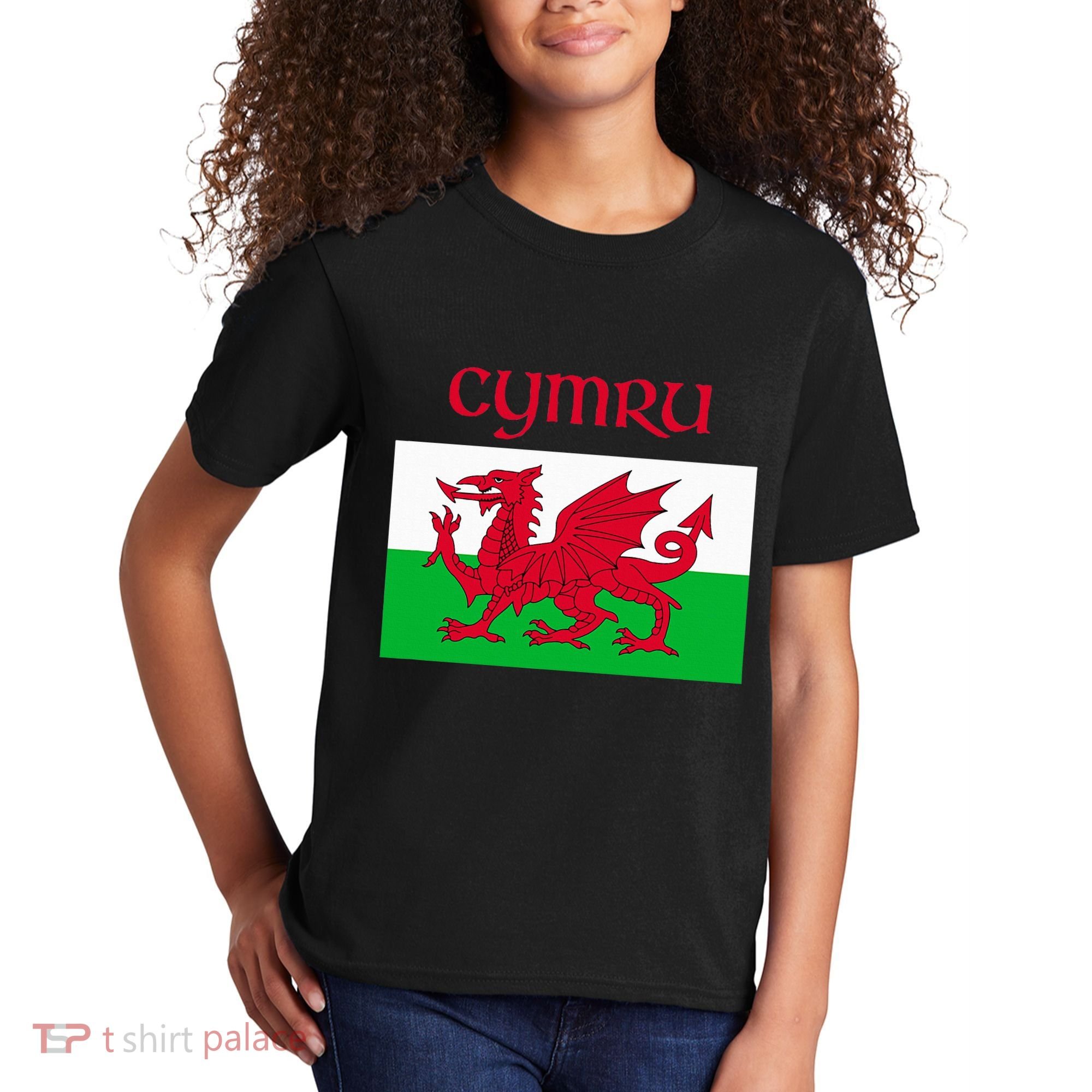 Wales Cymru Welsh Flag Kids T-Shirt