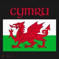 Wales Cymru Welsh Flag Kids T-Shirt thumb 4