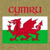 Wales Cymru Welsh Flag Garment-Dyed Women's Muscle Tee thumb 6