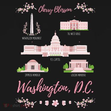 Washington Dc Cherry Blossom Monument Mousepad