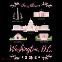 Washington Dc Cherry Blossom Monument Mousepad thumb 1