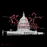 Washington Dc Capitol Hill Usa Souvenir Cherry Blossoms Gift Coffee Mug thumb 5