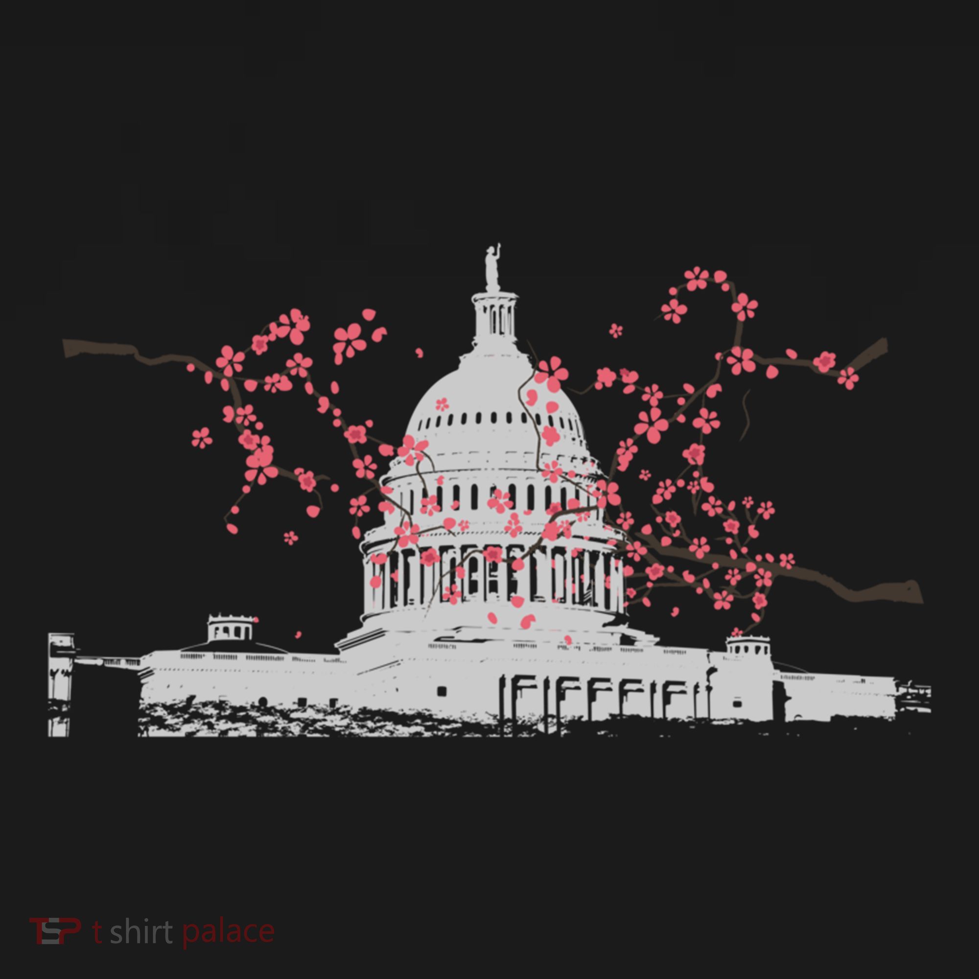 Washington Dc Capitol Hill Usa Souvenir Cherry Blossoms Gift Women's Hoodie
