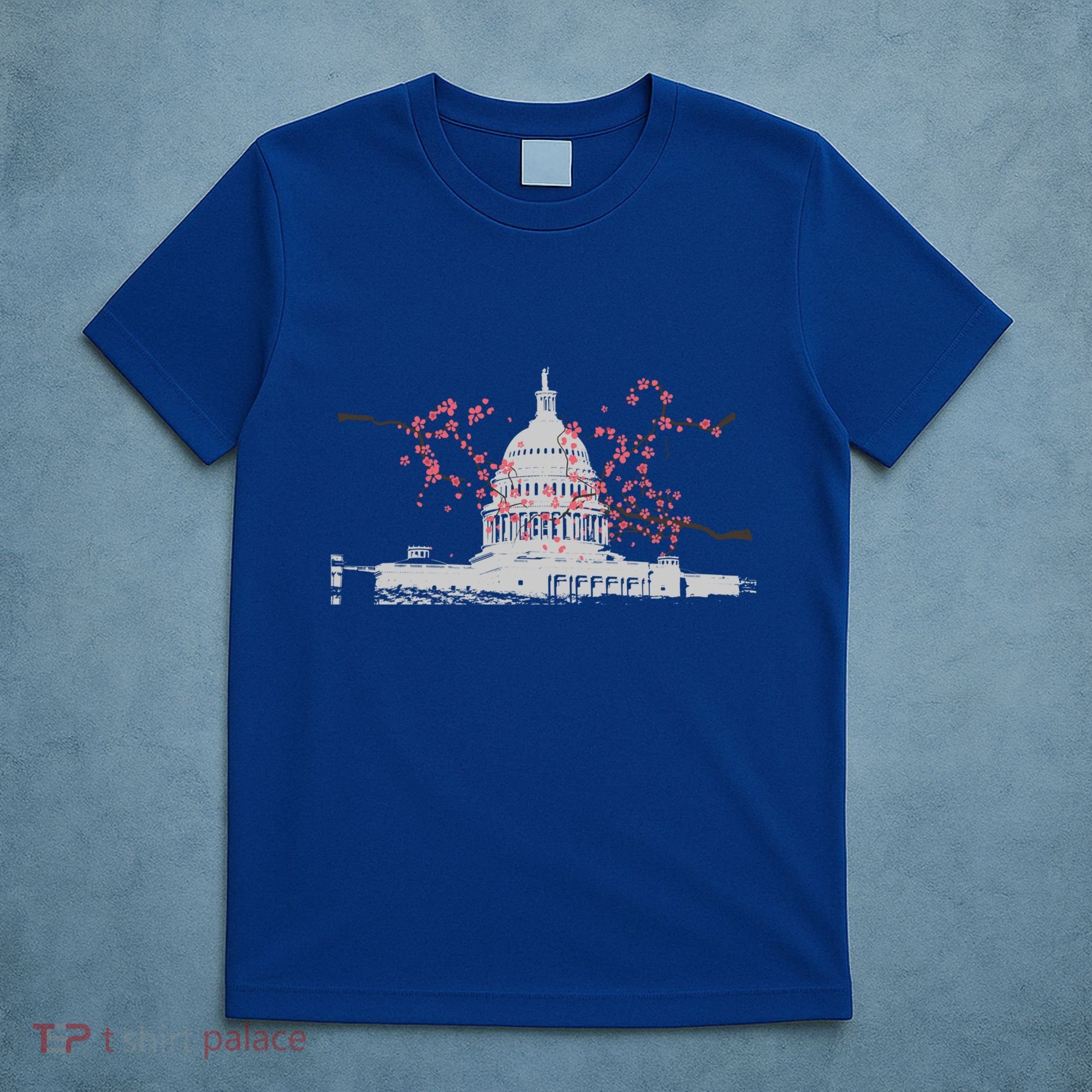 Washington Dc Capitol Hill Usa Souvenir Cherry Blossoms Gift T-Shirt