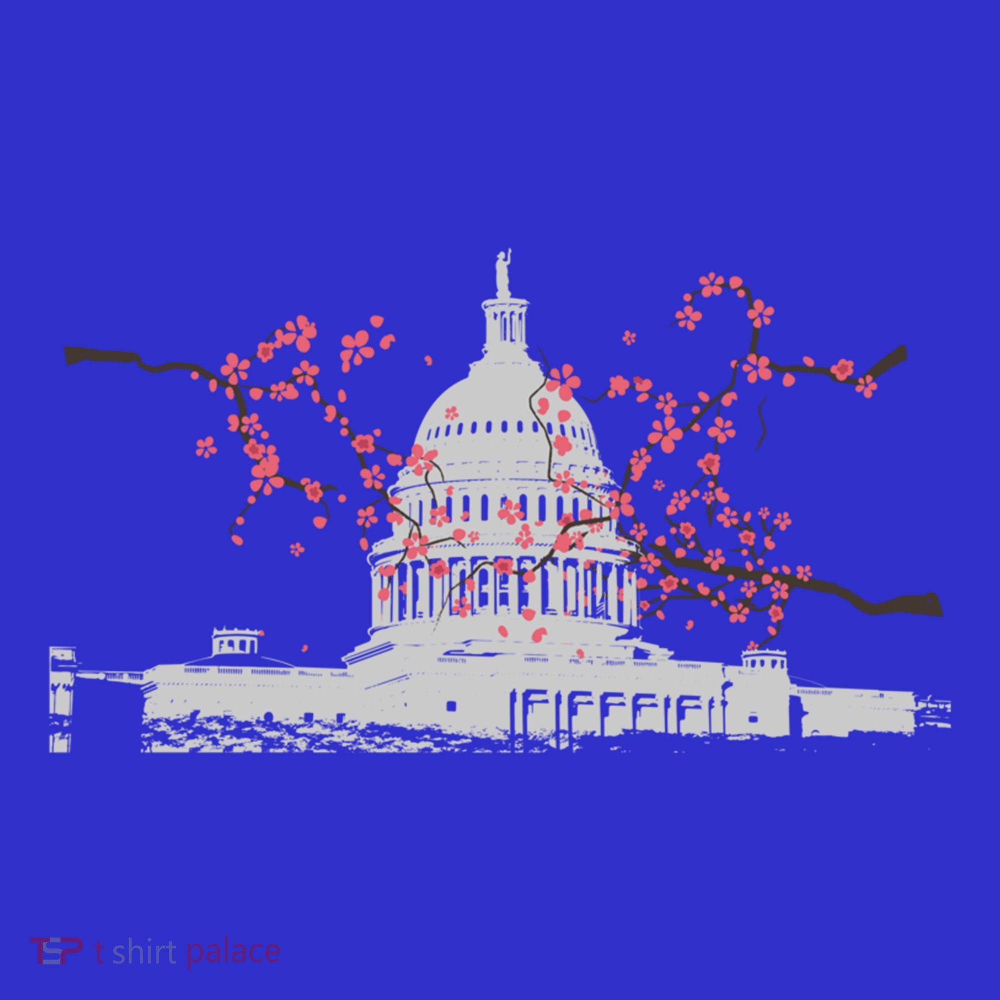 Washington Dc Capitol Hill Usa Souvenir Cherry Blossoms Gift Women's Tank Top