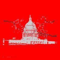 Washington Dc Capitol Hill Usa Souvenir Cherry Blossoms Gift Santa Hat thumb 1