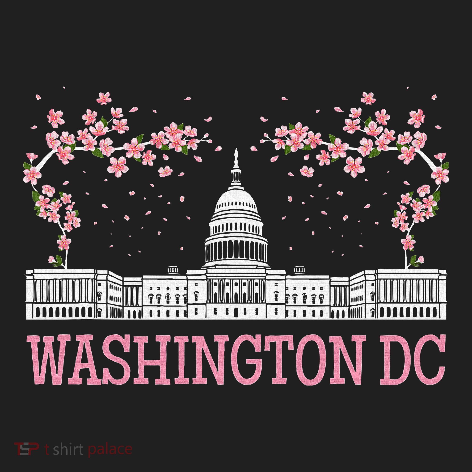 Washington Dc Cherry Blossom Monument Beanie