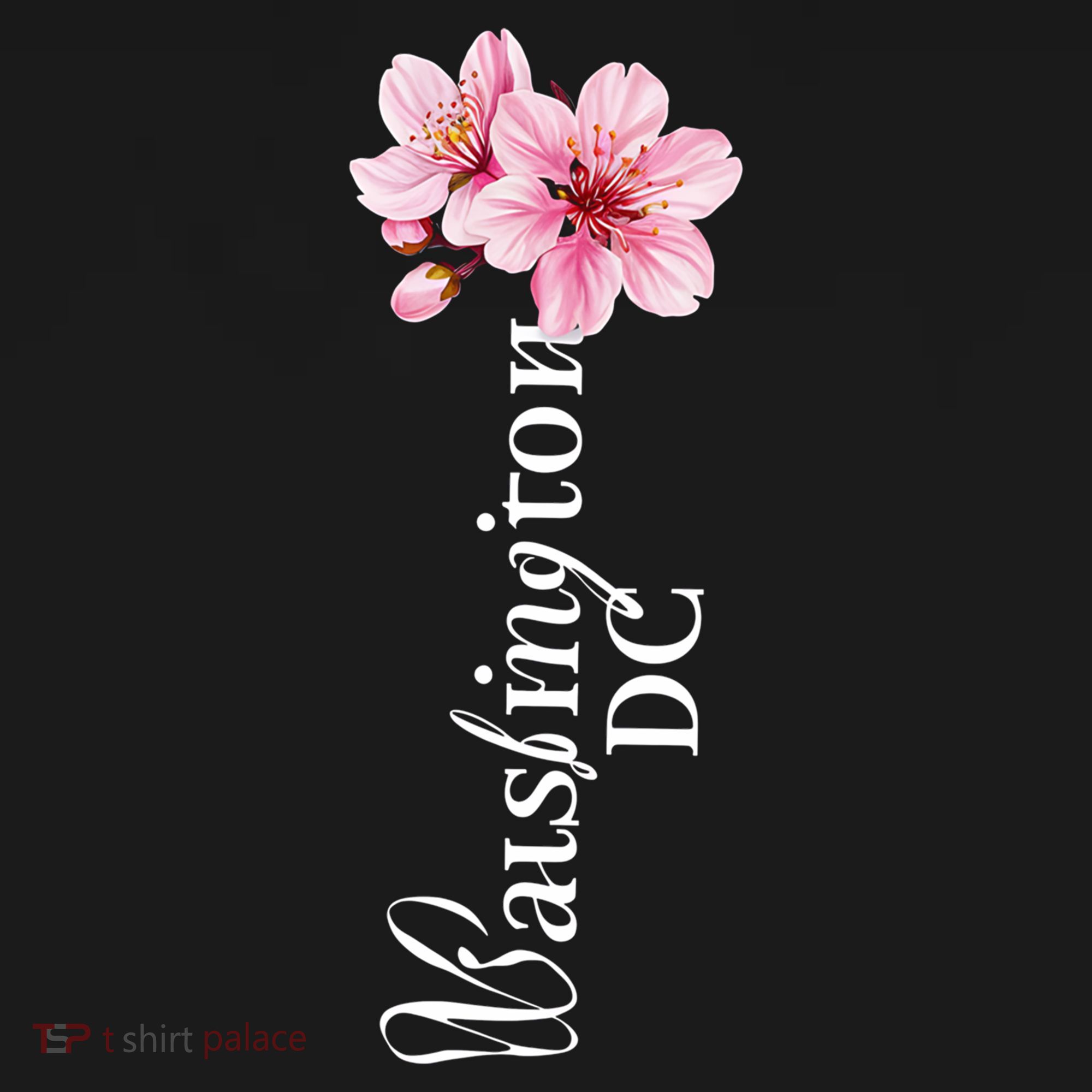 Washington Dc Cherry Blossom Festival Souvenir Dc Gift Women's Hoodie