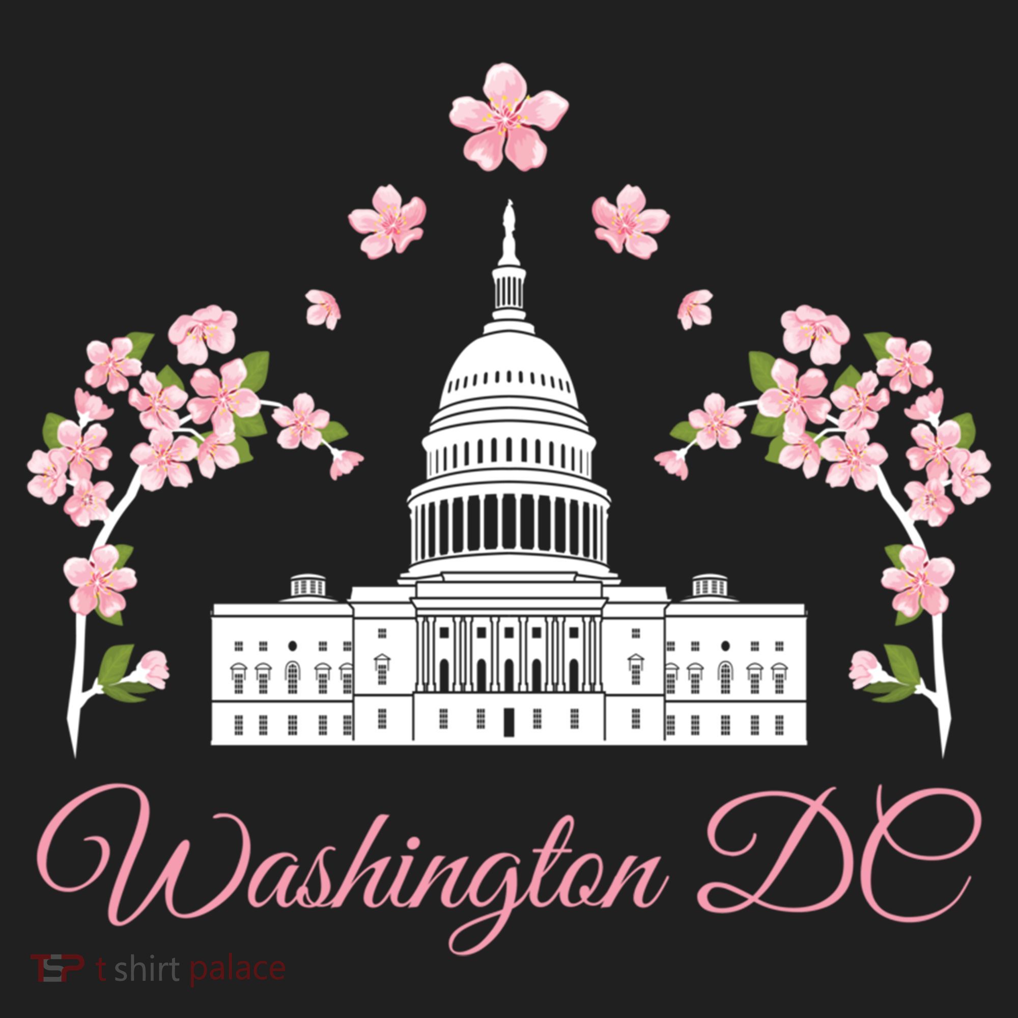 Washington Dc Cherry Blossom Gift Women's Sweatshirt