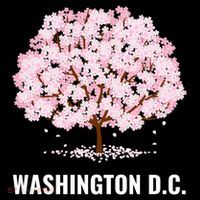 Washington Dc Cherry Blossom Tree Bloom Festival Gift Coffee Mug thumb 5