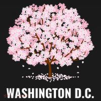 Washington Dc Cherry Blossom Tree Bloom Festival Gift Coaster thumb 2